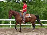 Westerndressyr