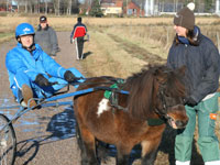 Klart flör start