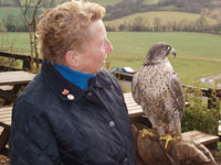 Fir Tree Falconry. Kristina med Falk.  