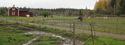 Bångbo