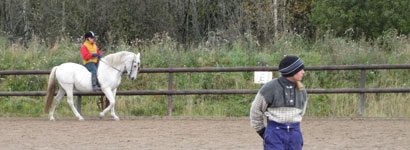 Henrik och Furioso och Jenny