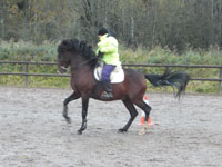 Jenny rider till Rubin