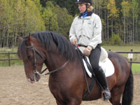 Sussi och Rubin
