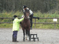 Sussi och Rubin