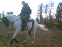 Anders rider Goodiwa