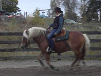 Camilla_Newton (foto: AAJ Ranch)