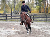 Kicki - Jac Peppy San (foto: AAJ Ranch)