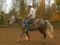 Petter-Citys Boggieboy 
